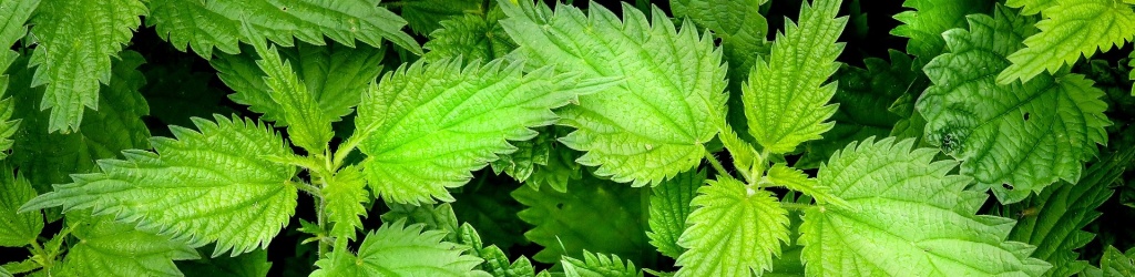 e3d42e547d085deeae1972a7f741d74c.jpg e3d42e547d085deeae1972a7f741d74c.jpg